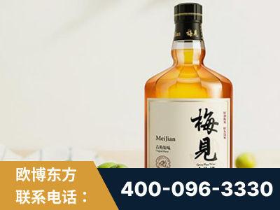 梧州-梅见青梅酒